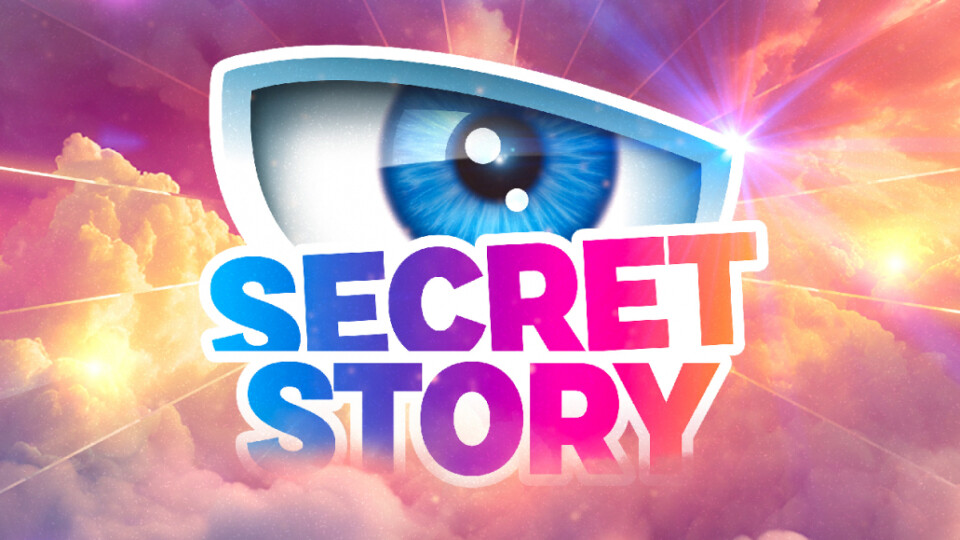 Secret Story : qui remplacera La Voix ? 8 personnes que j'adorerais entendre à sa place !