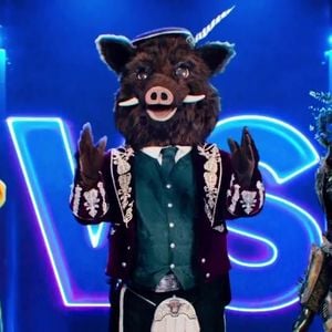 Le Clown, le Sanglier et le Cyborg le 29 mai dans Mask Singer, sur TF1.