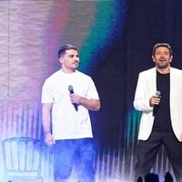 Les Enfoirés : les artistes sont-ils payés ?
