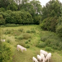 L'amour est dans le pré : "Elle voulait même me mettre une gifle", cette séquence a été coupée au montage