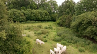 L'amour est dans le pré : "Elle voulait même me mettre une gifle", cette séquence a été coupée au montage