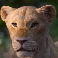 "Le Roi Lion" : Beyoncé chante "Can You Feel..."
