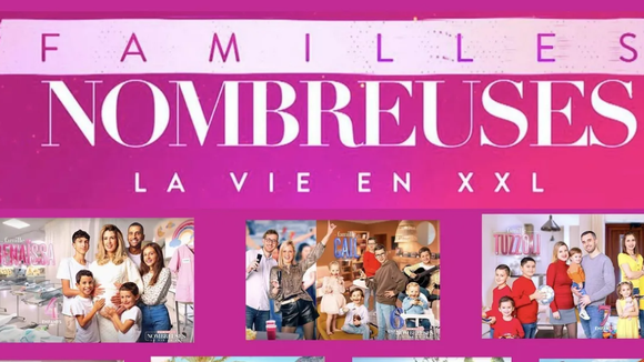 Familles nombreuses : c'est officiel, un couple divorce, "derrière les sourires, il y a aussi des tempêtes"