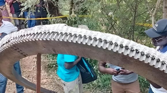 Digne d'un film de science-fiction : un anneau métallique d'une demi-tonne est tombé du ciel au Kenya... L'agence spatiale du pays a confirmé ce que beaucoup soupçonnaient !