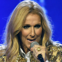 Céline Dion : son concert interrompu pour un fan