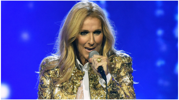 Céline Dion : son concert interrompu pour un fan