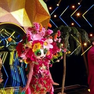 Le Cyborg et le Bouquet, en ballotage dans Mask Singer le 29 mai 2026.