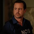 NCIS saison 24 : McGee prêt à quitter la team pour un nouveau rôle ?