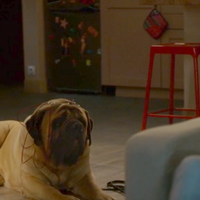 13 ans après ses débuts, cette série adorée des Français annulée en secret ? Son actrice a peur, "Ca ne sent pas bon"