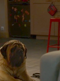 13 ans après ses débuts, cette série adorée des Français annulée en secret ? Son actrice a peur, "Ca ne sent pas bon"