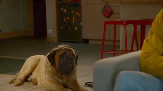 13 ans après ses débuts, cette série adorée des Français annulée en secret ? Son actrice a peur, "Ca ne sent pas bon"