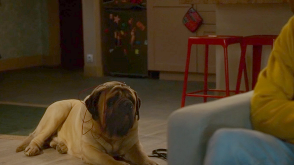 13 ans après ses débuts, cette série adorée des Français annulée en secret ? Son actrice a peur, "Ca ne sent pas bon"