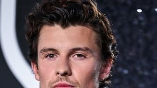 Shawn Mendes repousse son album