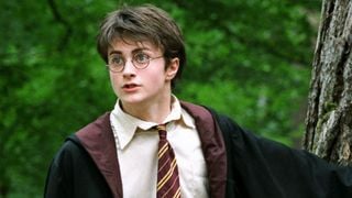 Harry Potter : une autre série sur des personnages adorés des fans était prévue, mais elle a été annulée sur un coup de tête
