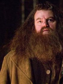 Après Dumbledore, le futur Hagrid recruté pour la série Harry Potter ? HBO réagit au nom de l’acteur qui circule