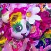 Mask Singer 2026 : le Bouquet déjà démasqué par les internautes ? Ils pensent avoir reconnu une gagnante de la Star Academy