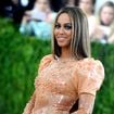 À 100 000 dollars le ticket d'entrée, le Met Gala a rapporté tellement d'argent qu'il pourrait bientôt disparaitre