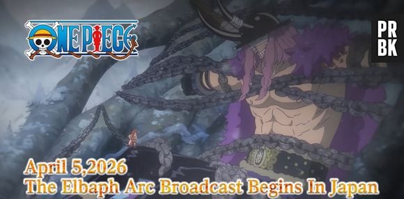 la saga L'Île Erbaf (One Piece)