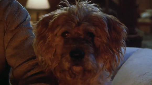 43 ans après, les pires créatures du cinéma vont revenir dans un nouveau film avec Steven Spielberg