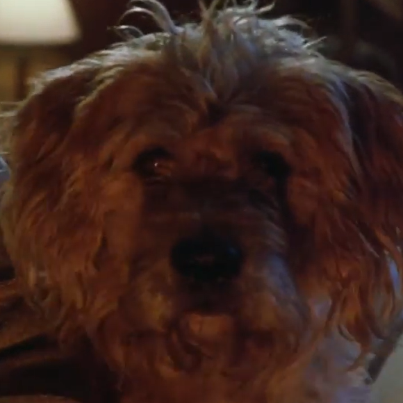 43 ans après, les pires créatures du cinéma vont revenir dans un nouveau film avec Steven Spielberg