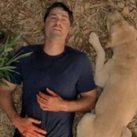 La fin de Lost a été frustrante pour beaucoup, mais regarder la série dans l'ordre chronologique change complètement son sens