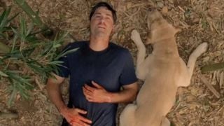 La fin de Lost a été frustrante pour beaucoup, mais regarder la série dans l'ordre chronologique change complètement son sens
