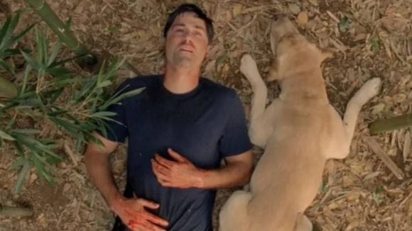 La fin de Lost a été frustrante pour beaucoup, mais regarder la série dans l'ordre chronologique change complètement son sens