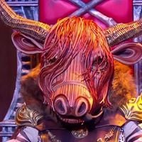 Mask Singer 2025 : on sait qui se cache sous le Bison ! Tous les indices concordent...