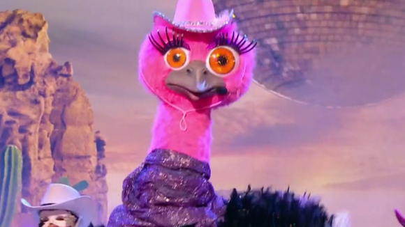 Mask Singer : une émission compliquée ? Eliminée, la star derrière l'Autruche avoue tout, "C'est un univers stressant"