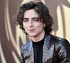 Timothée Chalamet à la Première à Los Angeles du film "Wonka" de Warner Bros le 10 décembre 2023.