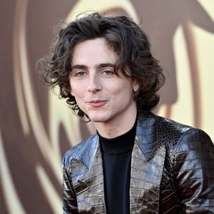Timothée Chalamet à la Première à Los Angeles du film "Wonka" de Warner Bros le 10 décembre 2023.