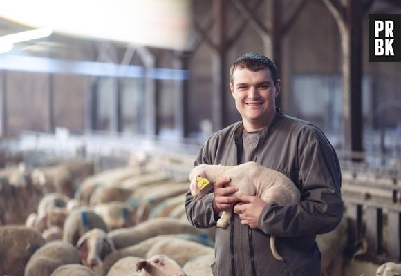L'amour est dans le pré 2025 : Mathieu (28 ans, éleveur de brebis – Occitanie)