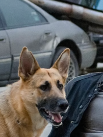 "Le seul de mes films qui a été hué" : Will Smith révèle la vérité sur son film de science-fiction Je suis une légende