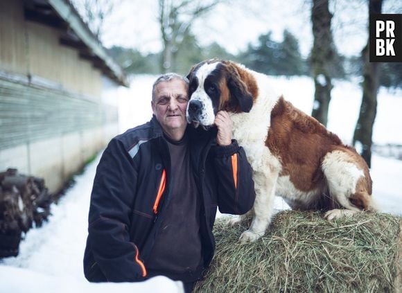 ADP 2025 : Laurent (58 ans, éleveur de brebis et vaches allaitantes – Auvergne-Rhône-Alpes)
