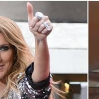 Il reprend Céline Dion et devient une star du web