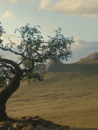 La meilleure série de 2026 aura une suite et elle sera diffusée très vite