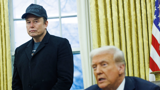 Traité de "cochon" par Elon Musk, Donald Trump lui conseille de "rentrer chez lui, en Afrique du Sud"
