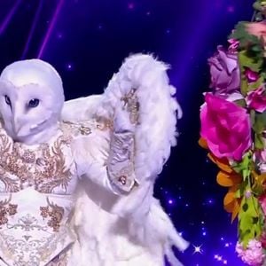 La Chouette et le Bouquet sur le plateau de Mask Singer le 5 juin 2026.