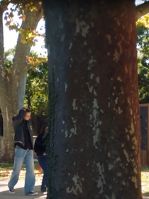 Ici tout commence : adorée des fans, cette actrice voulait jouer... dans Demain nous appartient, "J'ai passé cinq ou six fois un casting"