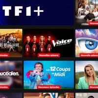 Vous en avez déjà marre des contenus TF1 et des pubs sur Netflix ? Une option existe pour les désactiver d'un coup de baguette magique