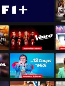 Vous en avez déjà marre des contenus TF1 et des pubs sur Netflix ? Une option existe pour les désactiver d'un coup de baguette magique