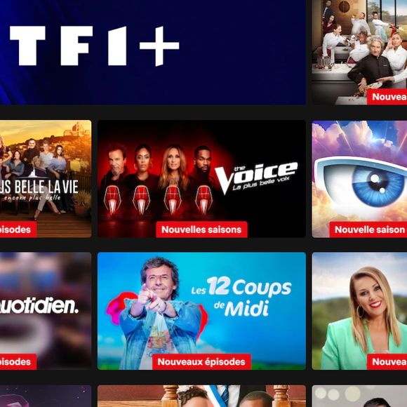 Vous en avez déjà marre des contenus TF1 et des pubs sur Netflix ? Une option existe pour les désactiver d'un coup de baguette magique