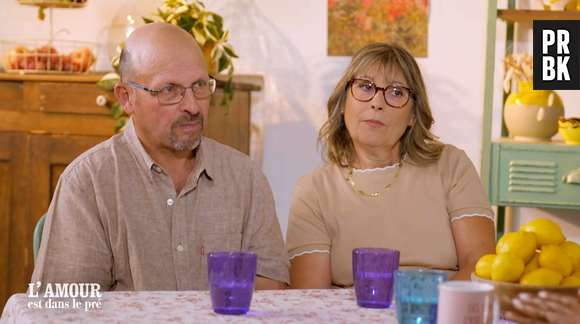 L'Amour est dans le pré : Denis et Romy encore en couple dans le Bilan ?