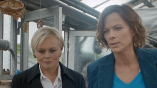 Master Crimes saison 3 : la suite existe uniquement grâce à cette adorable raison