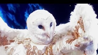 Mask Singer : fin de l'aventure pour la Chouette, un chanteur belge aux plus de 20 millions de disques vendus