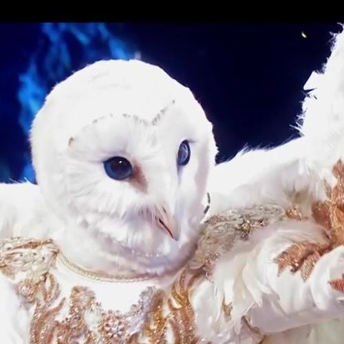 Mask Singer : fin de l'aventure pour la Chouette, un chanteur belge aux plus de 20 millions de disques vendus