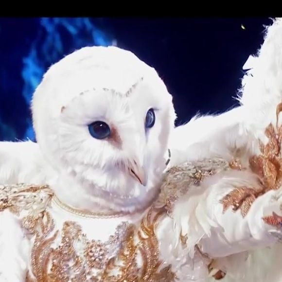 Mask Singer : fin de l'aventure pour la Chouette, un chanteur belge aux plus de 20 millions de disques vendus