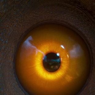 C'est le premier film de 2026 à dépasser le milliard de dollars de recettes