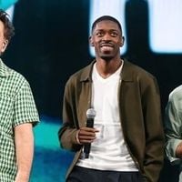 Les Enfoirés : combien de ventes pour le spectacle 2026 ?