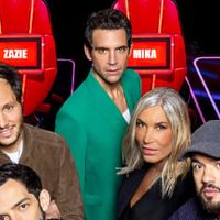 The Voice : qui sont les co-coachs des Battles ?